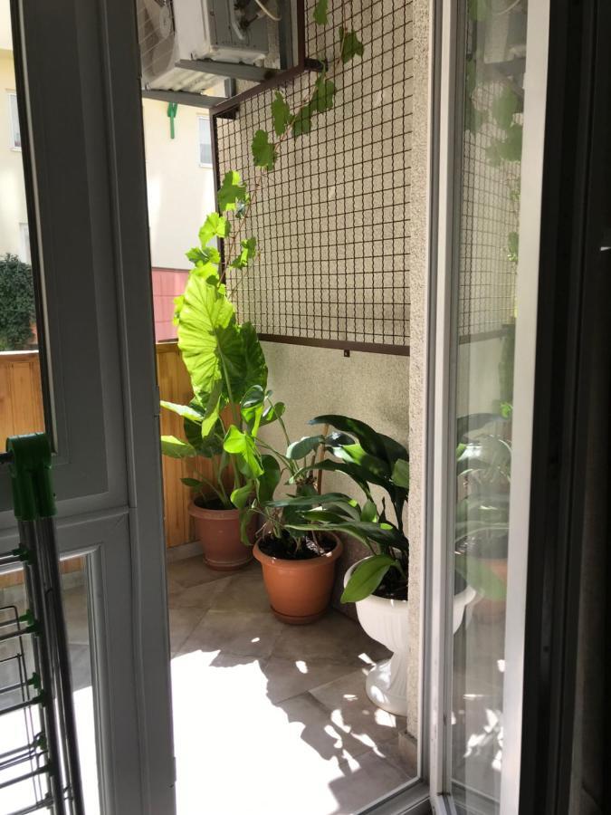 T2&T3 Apartments Levanto ティビリシ エクステリア 写真
